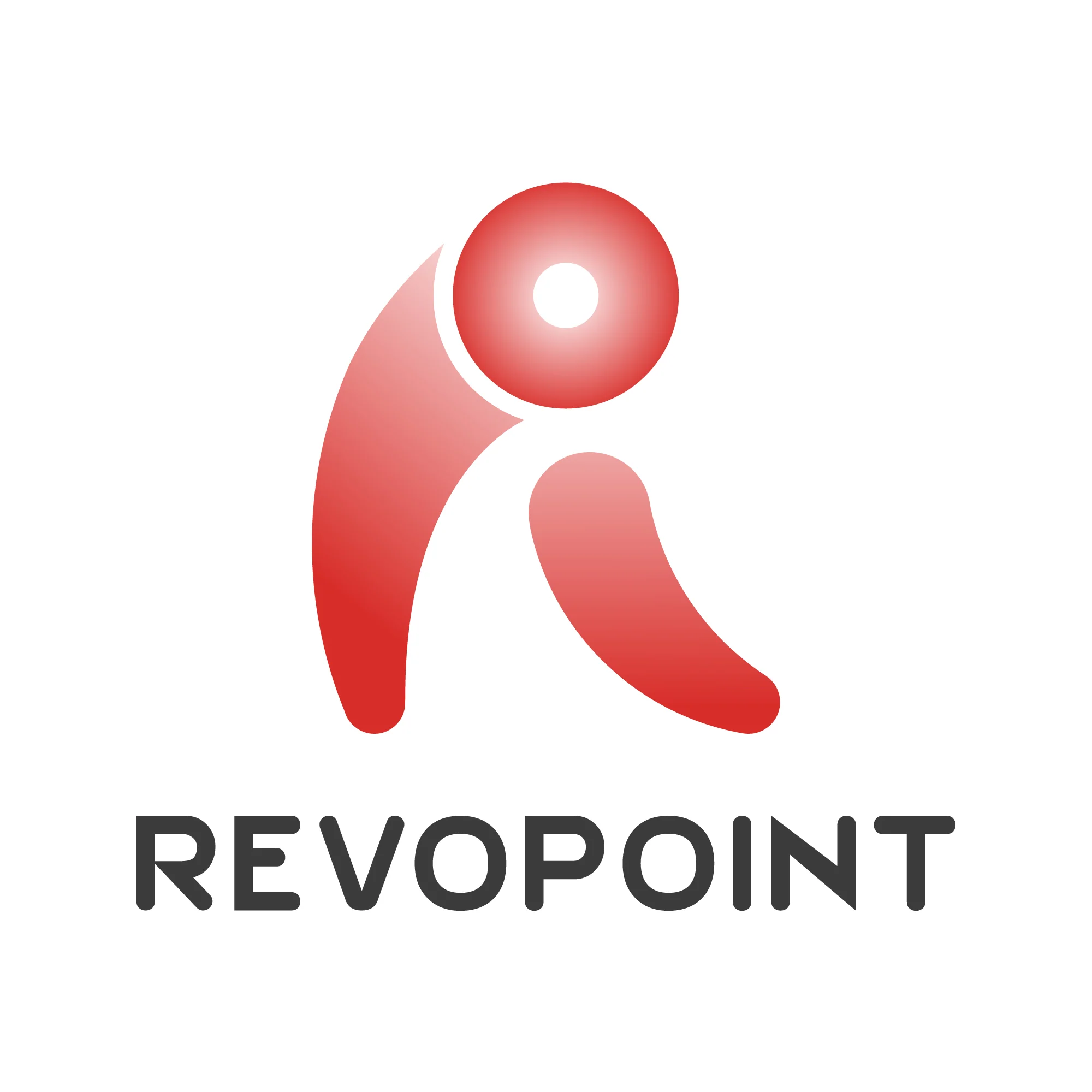 Revopoint Global Store